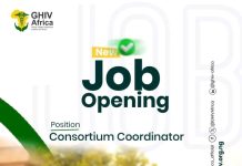 Consortium Coordinator at Global Village Healthcare Initiative for Africa (GHIV Africa) Consortium Coordinator at Global Village Healthcare Initiative for Africa (GHIV Africa)