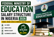 Federal Ministry of Education Salary Structure in Nigeria 2026: Ranks, Grade Levels and Monthly Pay Explained Federal Ministry of Education Salary Structure in Nigeria 2026: Ranks, Grade Levels and Monthly Pay Explained